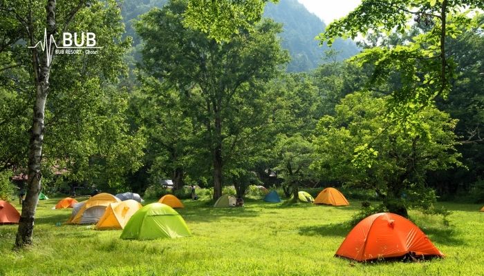 キャンプをやめた理由（キャンプ場）